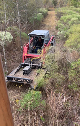 DSTS Deer Blind Clearing View_4076