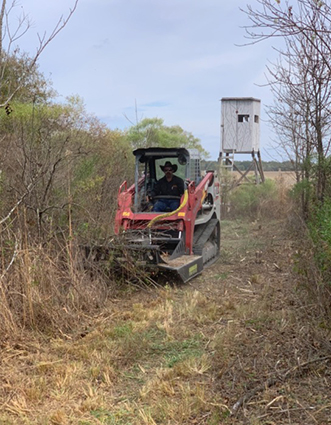 DSTS Deer Blind Lane Clearing_4076